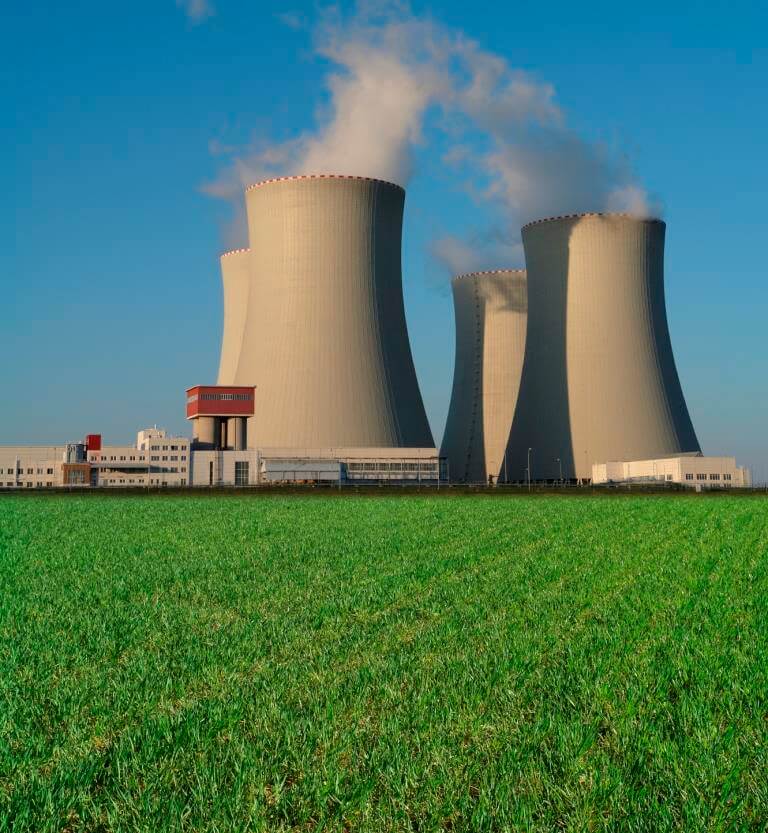 Asymmetric Capacity Expansions for Nuclear Plant Management