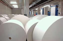 Data Integration Solution for Paper Manufacturer