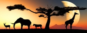 Stock photo of African plains with an antelope, elephant, zebra, tree, and giraffe