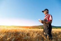 Farmer in field