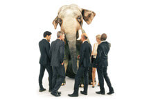 Elephant in room